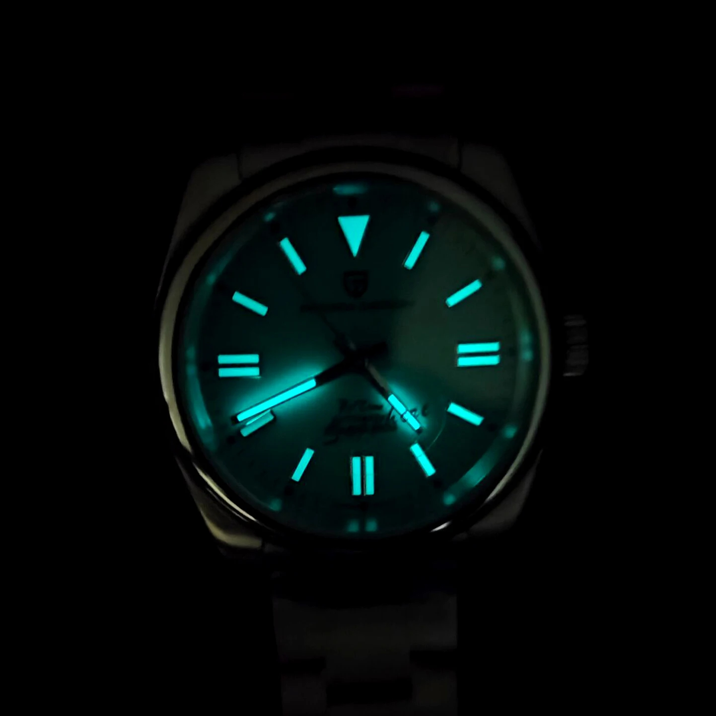 PAGANI DESIGN Luxury Classic M - Seiko Watch Prospex recension och pris